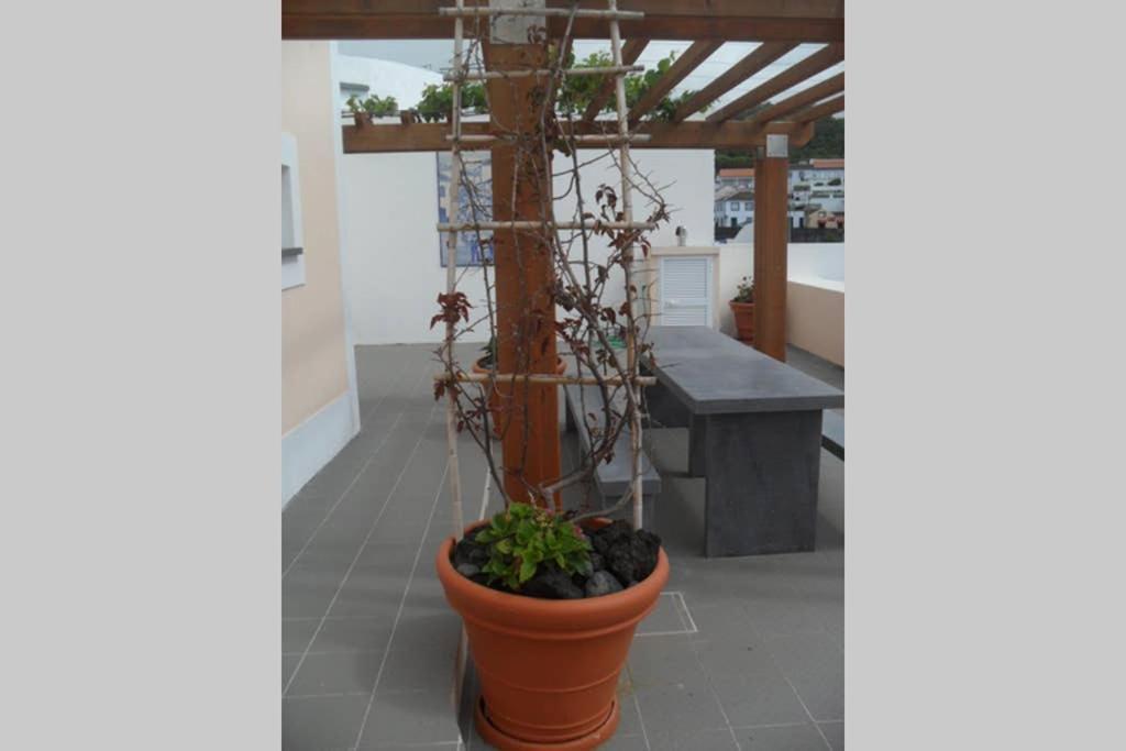 Oceanfront Studio - Casa Santo Antonio Sao Mateus  Екстер'єр фото